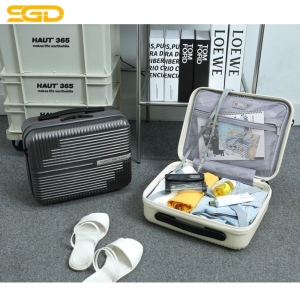 Túi hành lý Swiss Military Mini Carrier 27cm cao cấp – Nhỏ gọn, tiện lợi cho mọi chuyến đi